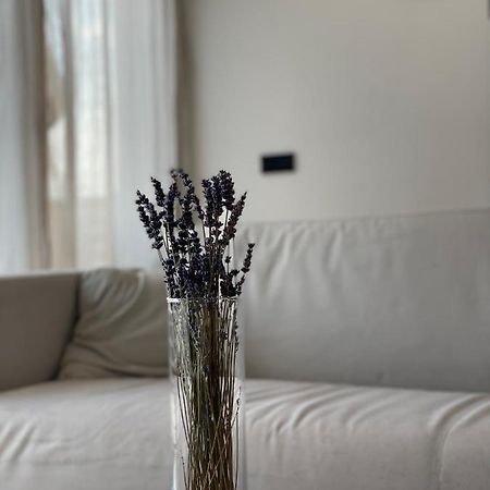 Roemer Apartment Und Zimmer Turkheim Exteriér fotografie