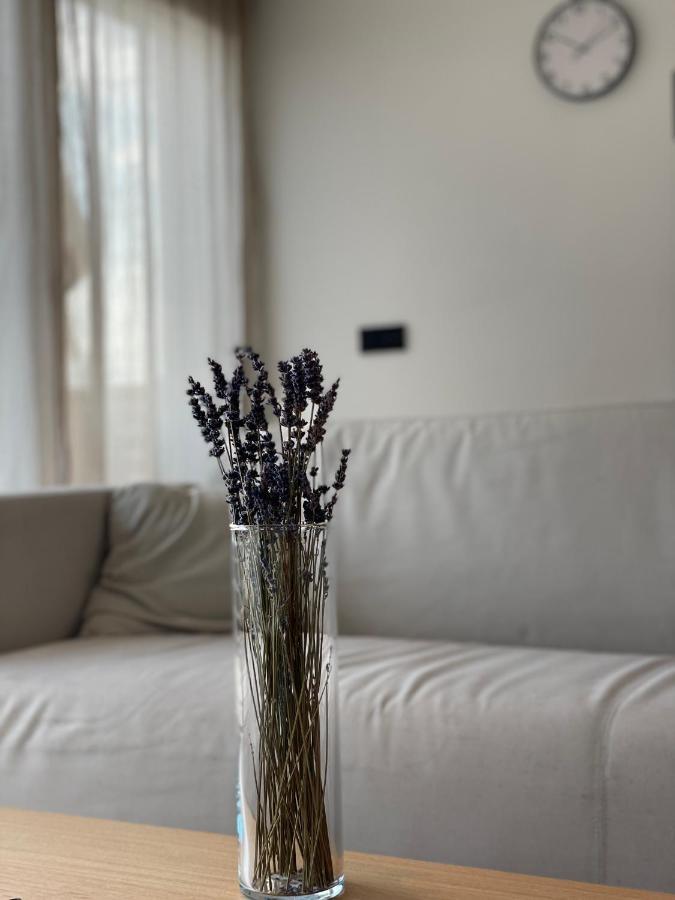 Roemer Apartment Und Zimmer Turkheim Exteriér fotografie